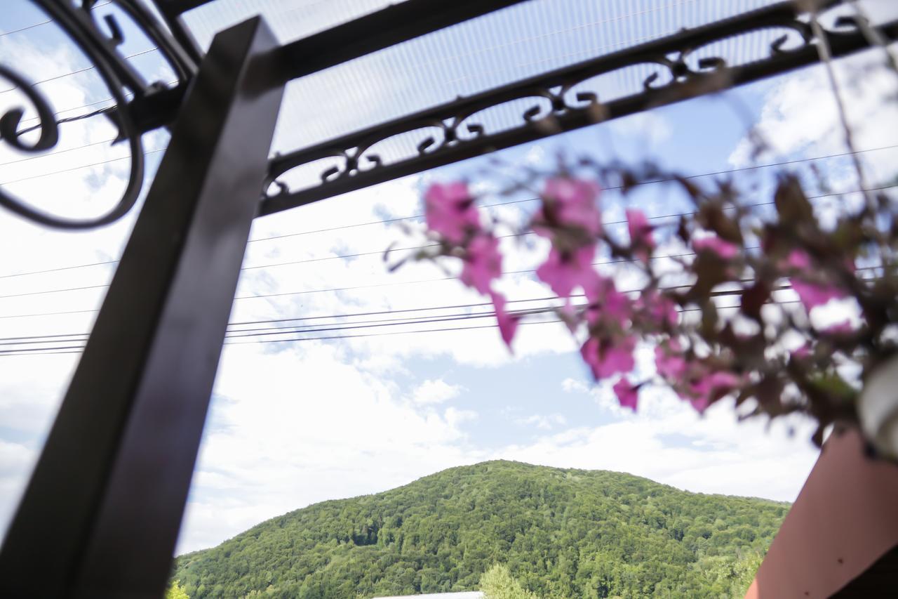 Hotel U Maksa Solochin Zewnętrze zdjęcie